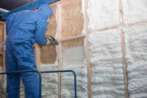 Professional Insulation Services in Vardaman, MS